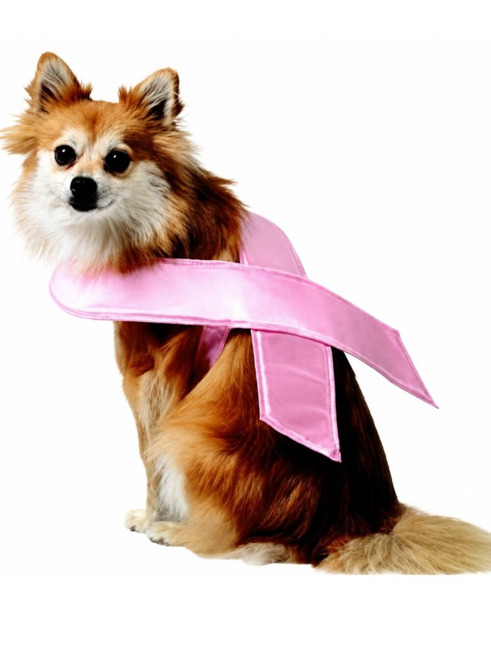 Size Small Breast Cancer Awareness Pink Ribbon Pet Costume